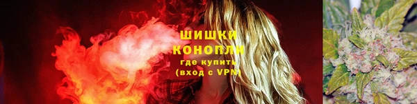 эйфоретик Белокуриха