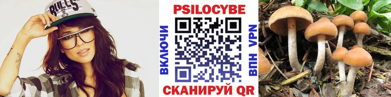 где можно купить наркотик  hydra онион  Галлюциногенные грибы Cubensis  Отрадное 